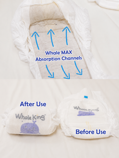 BBG Whale King Nappies Sample Pack - 5 Pcs